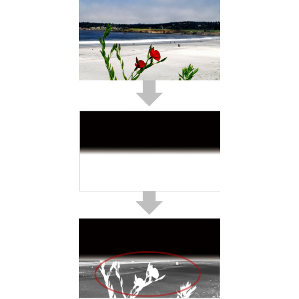 「カラーディテール3D」では、「ベースライン3D」による画面全体の奥行き感に加え、色情報の分析により手前にある花などの立体感も復元できるようになった