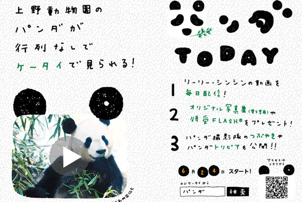 Ascii Jp Kddi パンダ動画が見られる パンダtoday キャンペーンを実施