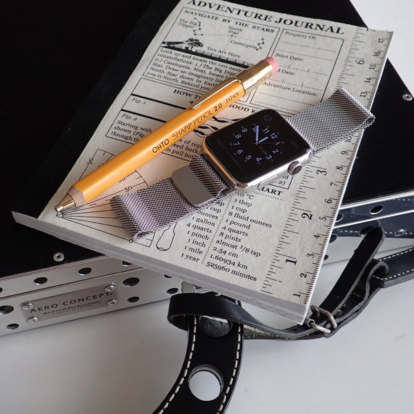「続きはiPhoneで！」のApple Watchを衝動買い！