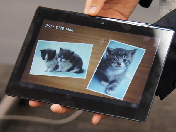 Life-Xの写真をSony Tabletでスライドショーとして再生