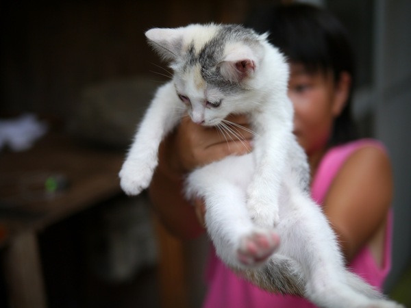 じゃあ私も、とその子を抱き上げる女の子。子猫はびっくりしてちょっとフリーズ中（2011年8月 パナソニック DMC-G3）