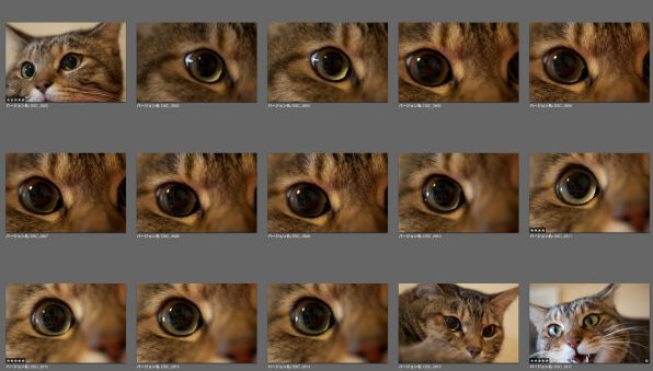 ずらっと並んだ瞳の写真が12枚。これだけ撮ってやっと満足のいくものが1枚撮れたのである