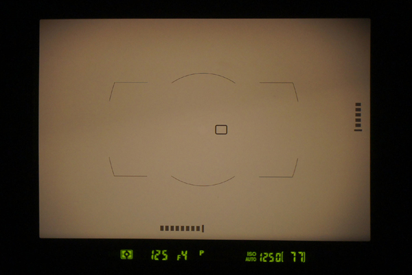 光学ファインダー内にも水準器を表示することが可能となった。画面内の下部と右側にあるドットで表示される