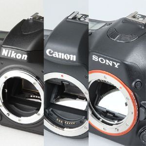 ASCII.jp：最新デジタル一眼レフは35mmフルサイズの時代だ！ (1/5)