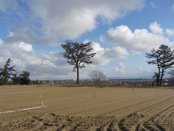 広大な田んぼが広がる新潟県。本当に超高速通信が堪能できるのか!?
