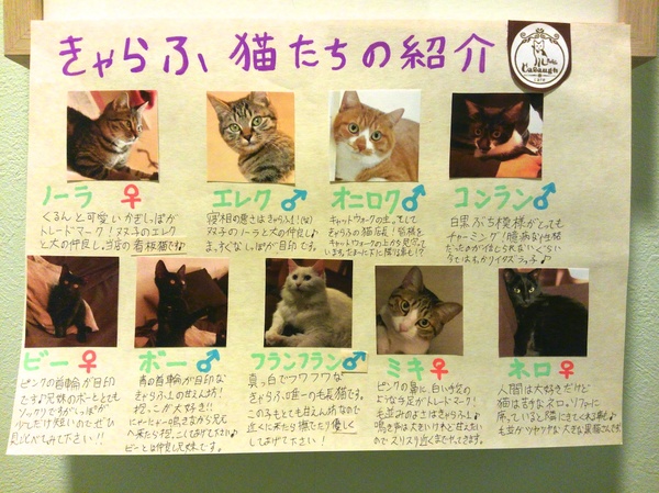 こんな猫一覧が貼ってありました（2013年2月 ソニー Xperia VL）