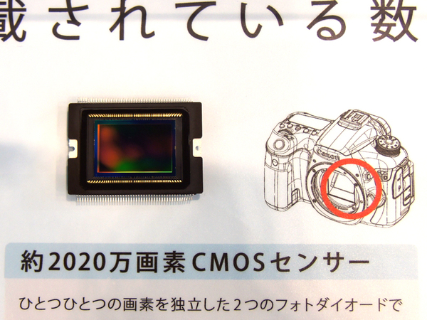 1画素に2つのフォトダイオードを搭載する新型CMOSセンサー。「デュアルピクセルCMOS AF」を利用できる