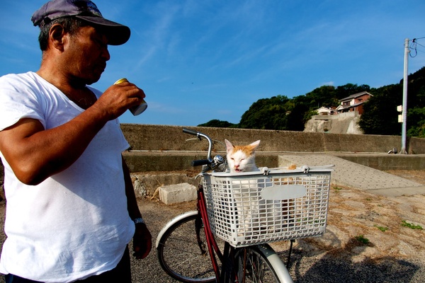 自転車を止め、缶コーヒーを飲みながら猫を見つめるおっちゃん。猫も慣れたもんである（2013年8月 オリンパス OM-D E-M5）