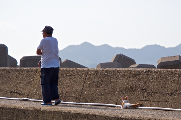 防波堤を散歩するおっちゃんとついていく猫。その距離感が面白かったのですかさず望遠レンズに付け替えて撮影。このあたり、散歩する人について歩く猫を何匹か見かけたのだが、そういうものなのか？（2013年8月 オリンパス OM-D E-M5）
