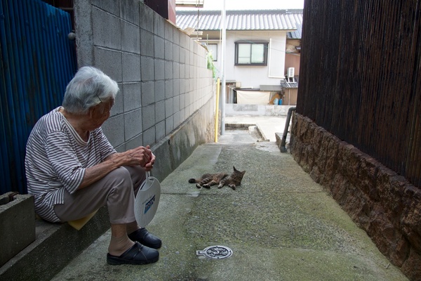 うちわのおばあちゃん（80歳は過ぎてそうでした）と見つめ合う猫。実はこの猫、人の膝に乗るのが好きで、おばあちゃんの隙をじっとうかがってるのでした（2013年8月 オリンパス OM-D E-M5）