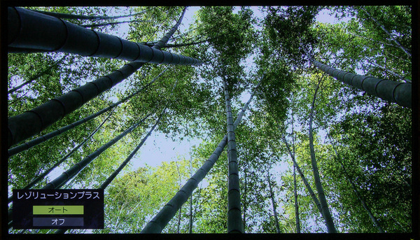 超解像「オン」では、竹の葉が重なった部分も鮮明な再現で、枝や葉が重なっている様子やそれによる微妙な色の変化がよくわかる