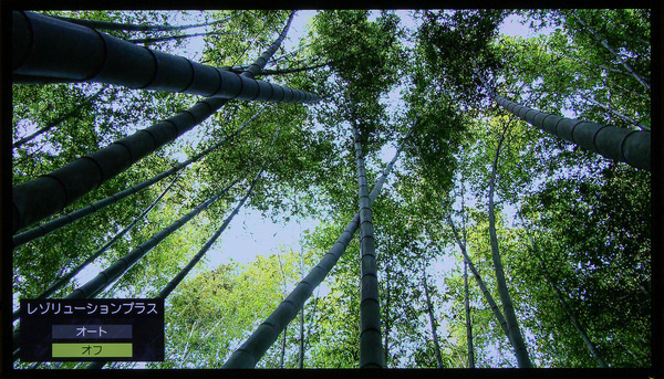 超解像オフでは、竹の葉がぐしゃっと潰れたようになり、厚く重なった部分の葉の陰もべったりと潰れガチで見通しがよくない