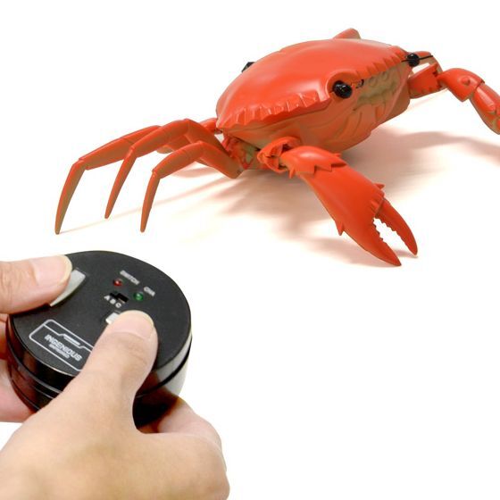 ASCII.jp：日本トラストテクノロジー、カニ型ラジコンを発売