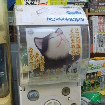 Ascii Jp お前は幸せになるニャ 人気のネコ型スタンドに新作登場