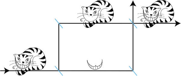 Ascii Jp 量子チェシャ猫 を実験で実証