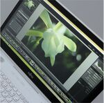 「Photoshop Lightroom」をLIFEBOOK AH WA2/Sで活用