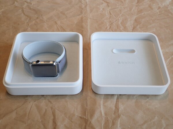 比較的安っぽいプラスティックケースを開けるとApple Watchが登場する