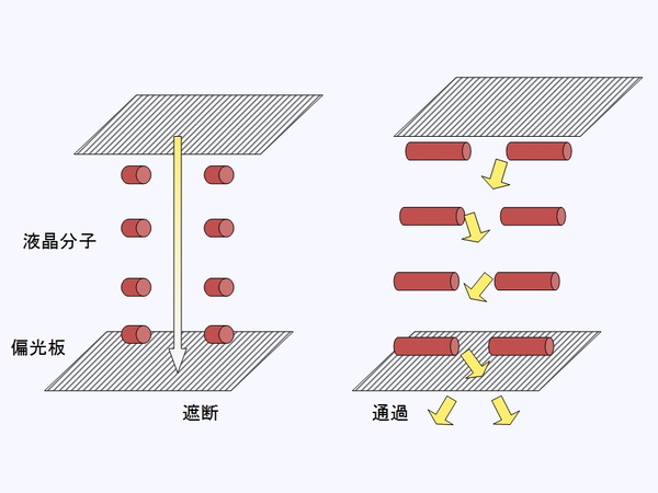 IPS方式は画面が“暗”（左）の時でも液晶分子は水平で、“明”の時は向きが変わる
