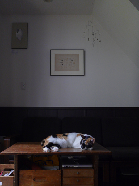 この静かな背景に猫がすごく似合ってて、気持ちよさそうに寝てる写真になった。猫はどこででもくつろぐ分、その場所によって写真の雰囲気ががらっと変わるのだ。それが面白い（2015年7月 パナソニック LUMIX DMC-CM1）
