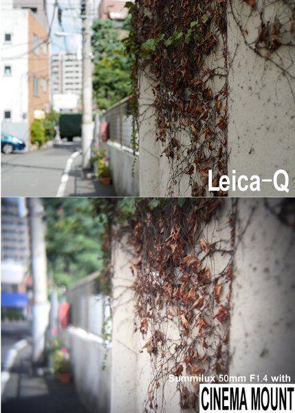 Leica-QとCINEMA MOUNT＋Summiluxの画像を比較してみた