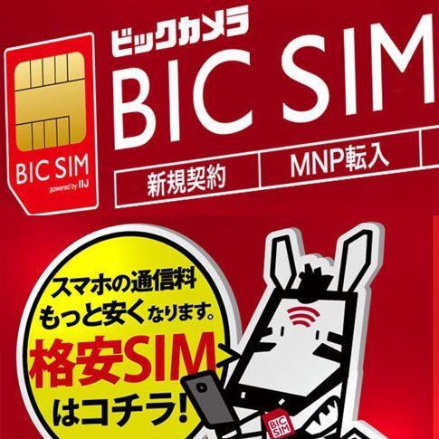 Ascii Jp Bic Simカウンターならカードサイズの変更や追加発行に即時対応