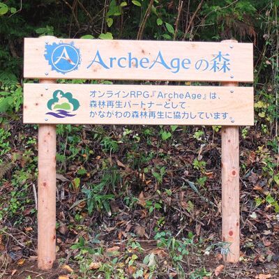 リアルで木の伐採を体験！  「ArcheAge」の森プロジェクト実施