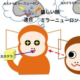 ASCII.jp：共感の基本となる「ミラーニューロン」、コモン