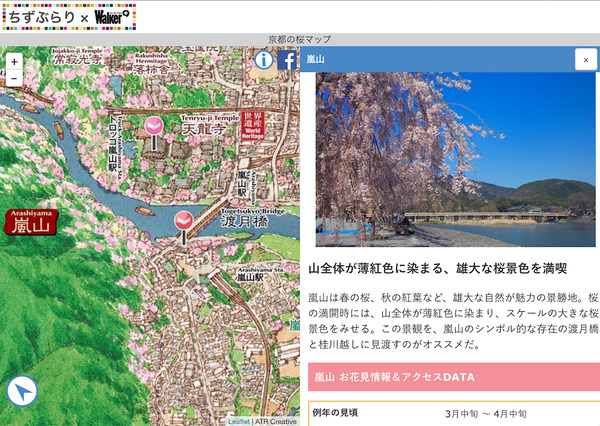 美しい桜をイラストと鳥瞰図で案内する「京都の桜マップ」