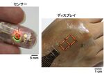 東京大学、皮膚に貼り付けられるディスプレーを開発
