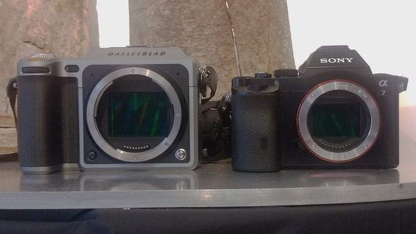 左がX1D、右はソニーのフルサイズ一眼「α7」。撮像素子のサイズ 差がスゴイ