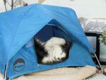 使いどころに悩む極小すぎるテント「Tiny Tents」登場