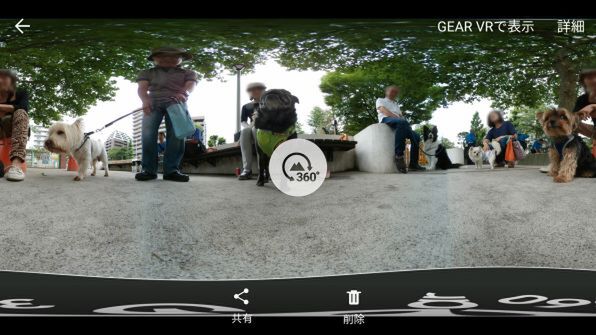 Gear 360を地面において撮影した360度動画は、自分が昆虫になったようなスケール感で観ることができて、自分よりはるかに大きくなったワンコの接近に驚いてしまう