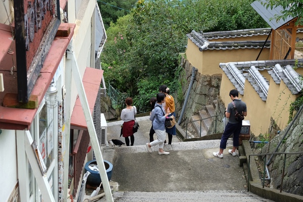 我々の少し前に階段を降りて行った観光女子三人組が途中で立ち止まってる。もしやと目を凝らしたら、足下に猫がいたのであった。まあ猫がいたら立ち止まるよね（2015年9月 富士フイルム X-T10）