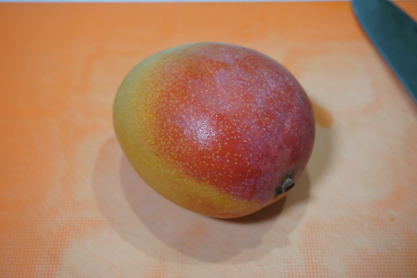 Ascii Jp 食べたマンゴーの種を植えてみました