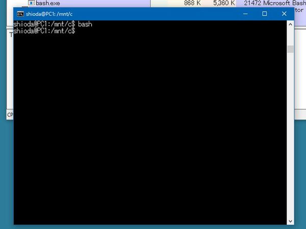 Ascii Jp Windows Subsystem For Linuxの中身を詳しく見る