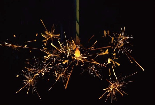 Ascii Jp 東大 高速度カメラで 線香花火 の美しさを物理的に解明