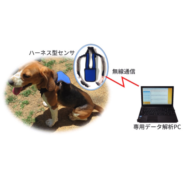 シャープ、「犬向けバイタル計測サービス」開始