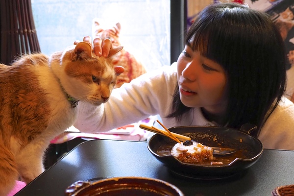 食事より猫が気になる猫好き女子。はやく食べないとカレーが冷めるぞと思いながら面白がって撮ってたのはひみつ（2017年2月 オリンパス OM-D E-M1 Mark II）