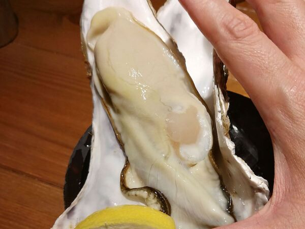 巨大岩牡蠣と相性抜群の富山産コシヒカリ限定日本酒「TORON」