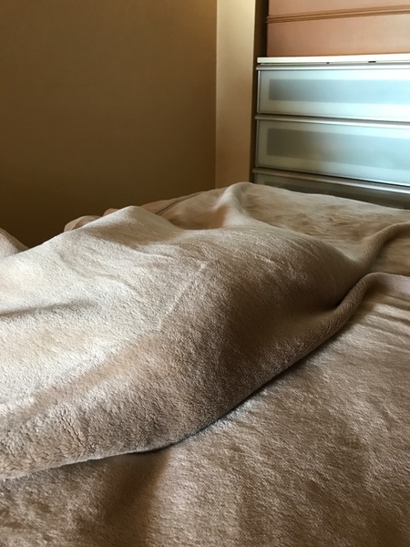 明らかに不自然にこんもりしてる毛布。この中に……たぶん2匹いる（2016年11月 アップル iPhone 7 Plus）