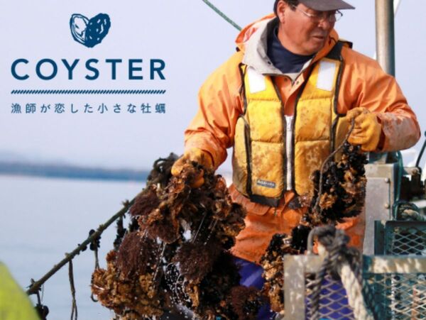 漁師絶賛の流通していない牡蠣「COYSTER」