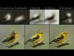 「黄色い羽」「短いくちばし」で鳥の絵を生成――マイクロソフトのAI