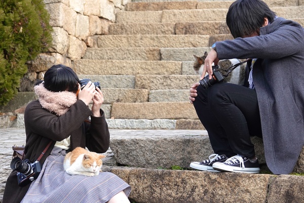 猫を膝に乗せたまま互いに撮り合ってるの図。このときの写真を見せてもらいたいもんです。互いにつけてるレンズが超マニアック（2018年1月 ソニー Cyber-shot DSC-RX10M4）