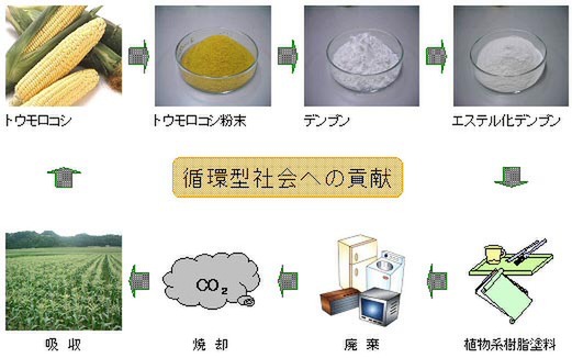 植物系樹脂塗料による循環型社会への貢献のイメージ