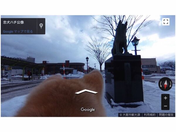 Google、犬目線のストリートビューが登場