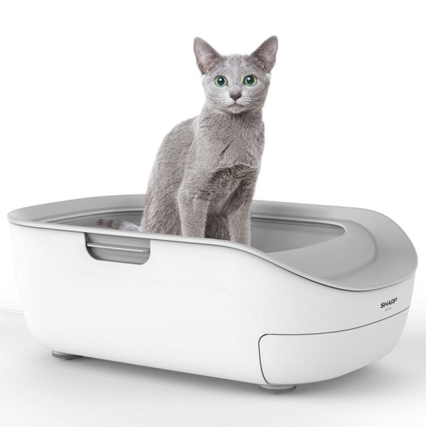 シャープ 猫オシッコを計測するAIoTシステムトイレ 7月30日発売