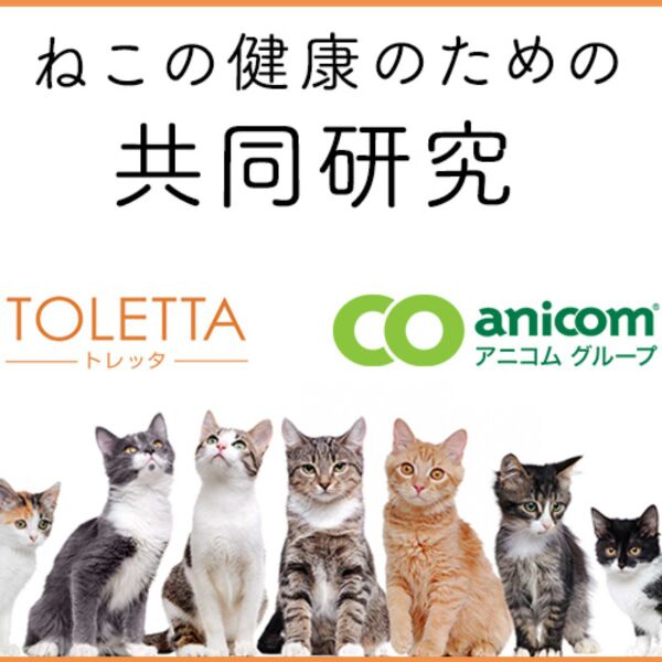 猫のIoTトイレ「TOLETTA」、ペット保険会社と猫の健康に関する共同研究開始