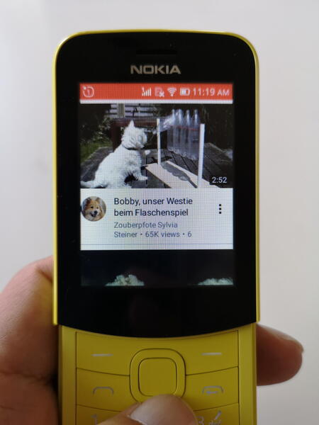 スマートフォン本体Nokia 8110 4G バナナフォン SIMフリー　画面保護フィルム