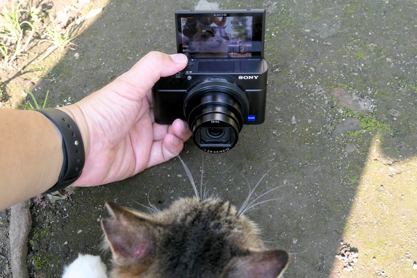 猫を撫でながら自撮りモードで左手で撮るの図。こんな撮り方もできる