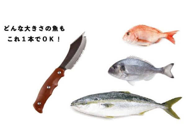 アジやブリなどの魚を簡単にさばける包丁 サカナイフ 週刊アスキー